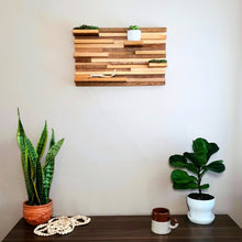 Load image into Gallery viewer, Reclaimed Wood Shelf
