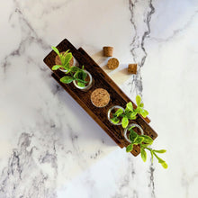 Load image into Gallery viewer, Reclaimed Wood Propagation Station
